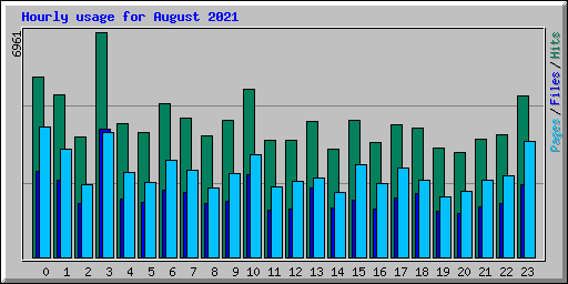 Hourly usage for August 2021